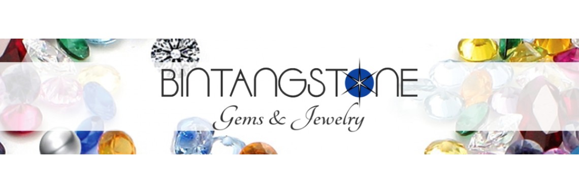 bintangstone n fashion logo